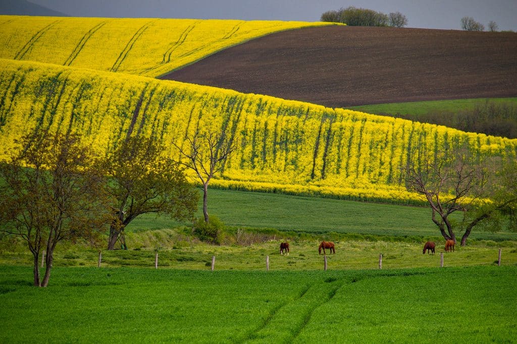 Internet op het Hongaarse platteland: wat zijn je opties? 1 Internet op het Hongaarse platteland